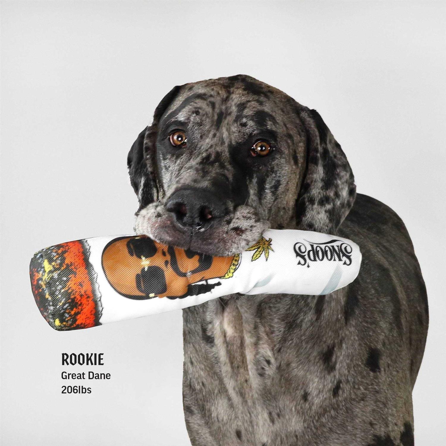 Snoop Doggie Doggs Doobie Dog Toy - Pet Supplies online store