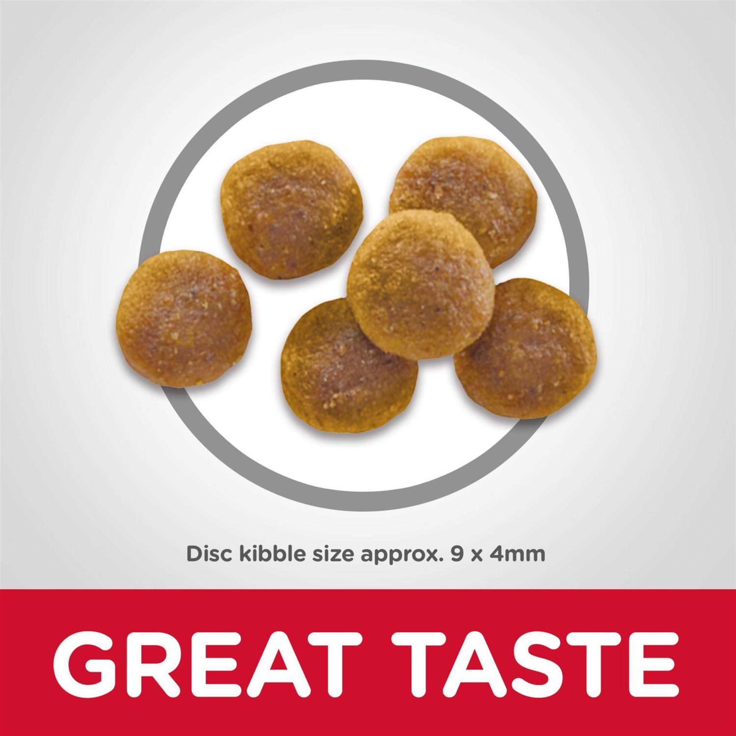 Hill's Science Diet Adult Dry Cat Food - Pet Supplies online store