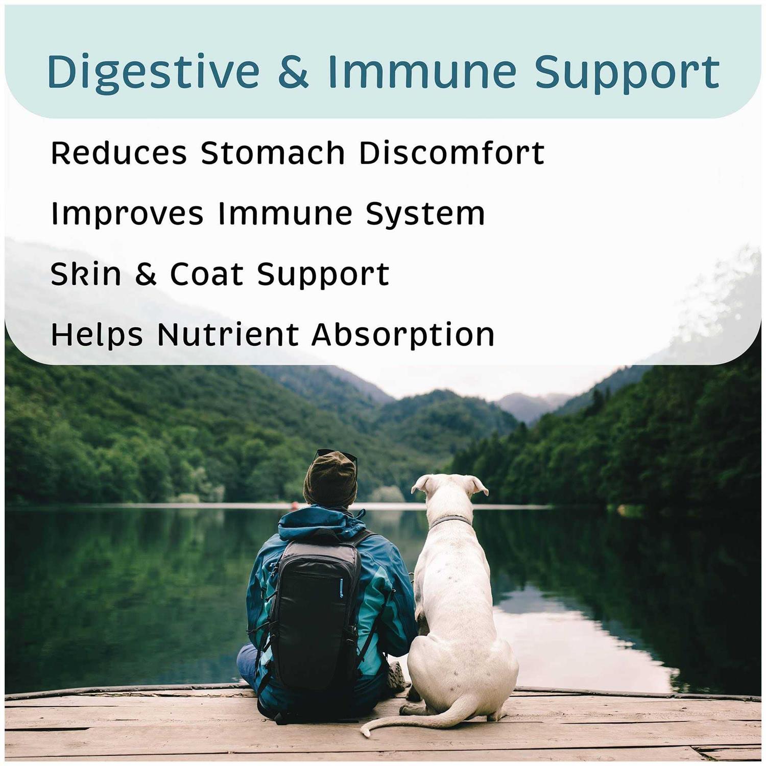 VetOne Advita Probiotic Nutritional Supplement for Dogs - Pet Supplies online store