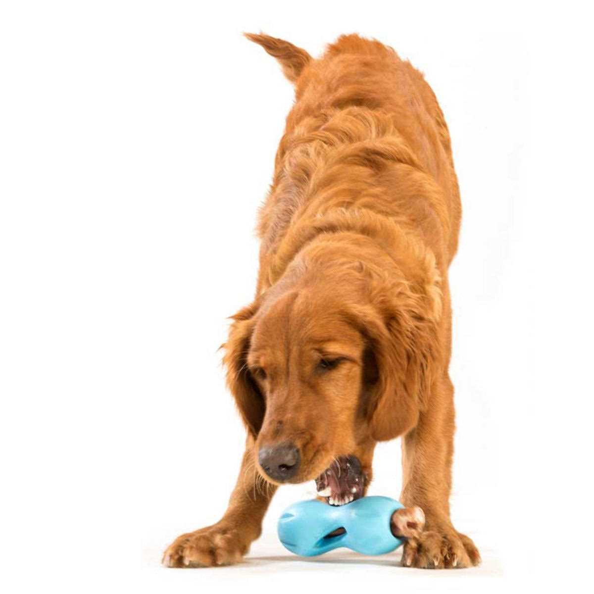 West Paw Qwizl Dog Toy - Pet Supplies online store