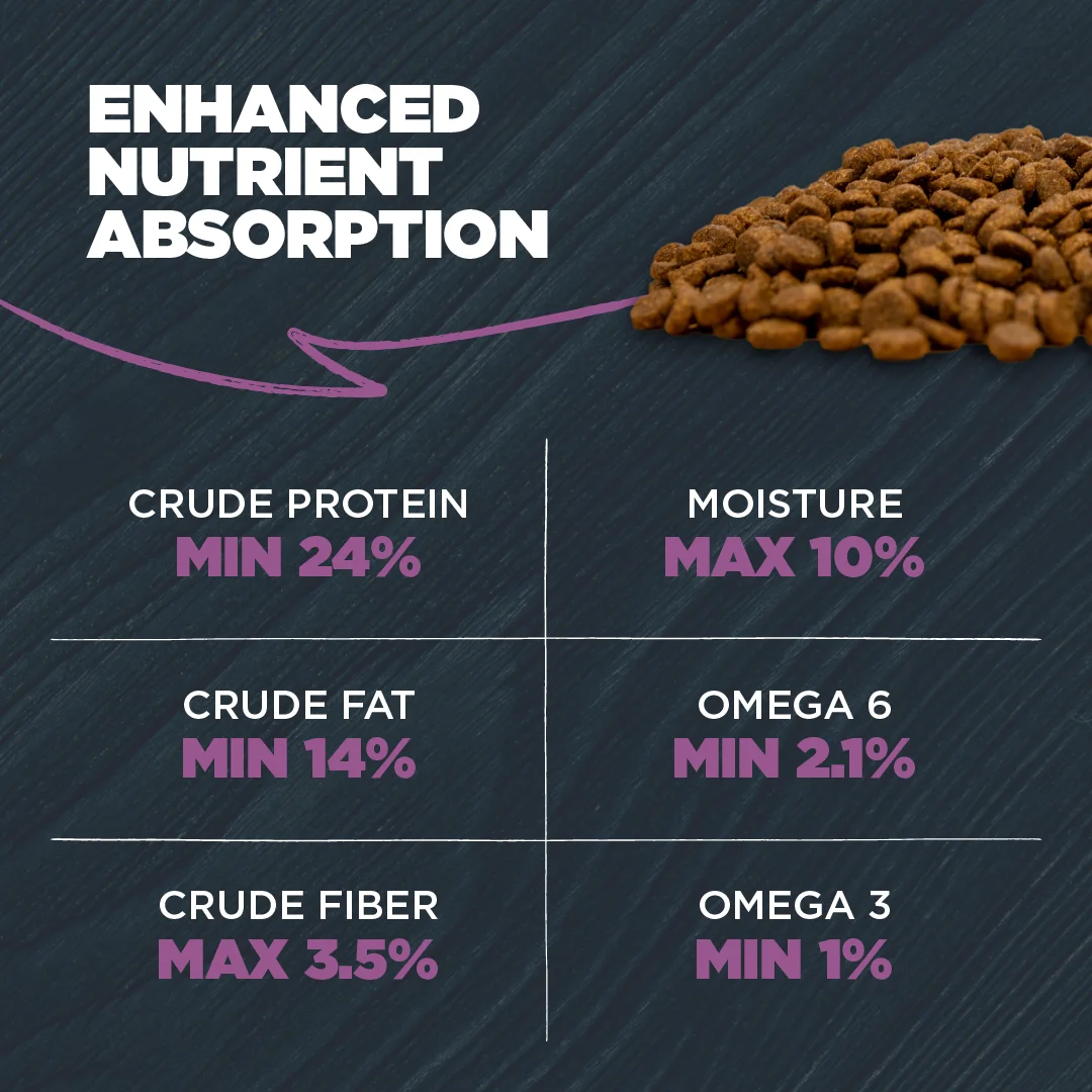 Blackwood Dry Dog Food Sensitive Skin & Stomach Salmon Meal with Ancient Grains 10 lb.