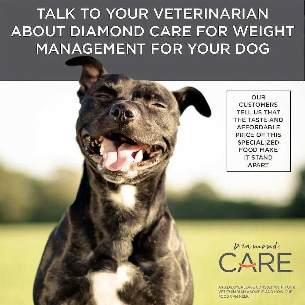 Diamond Care Weight Management Formula Adult Dry Dog Food - Pet Supplies online store