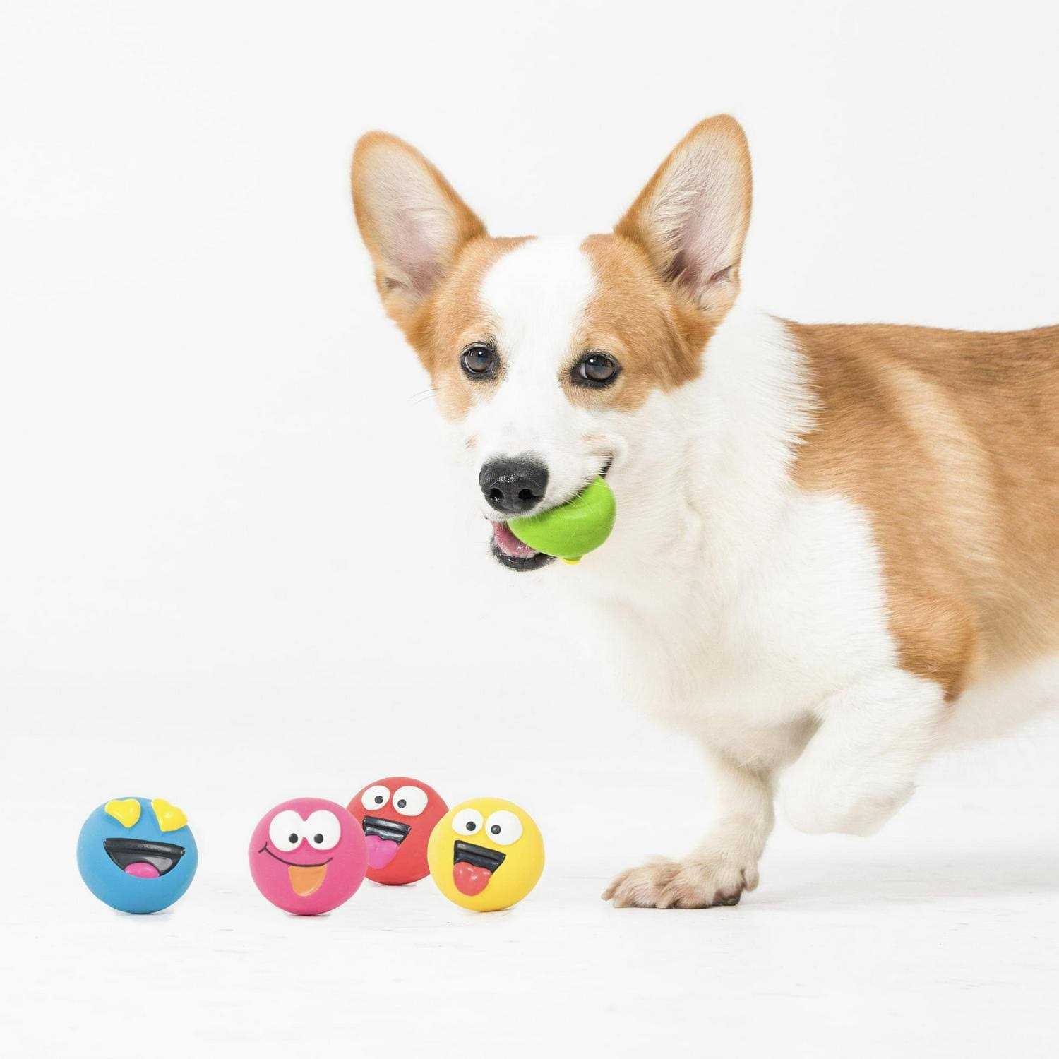 Vibrant Life Playful Buddy Dog Toys - Pet Supplies online store