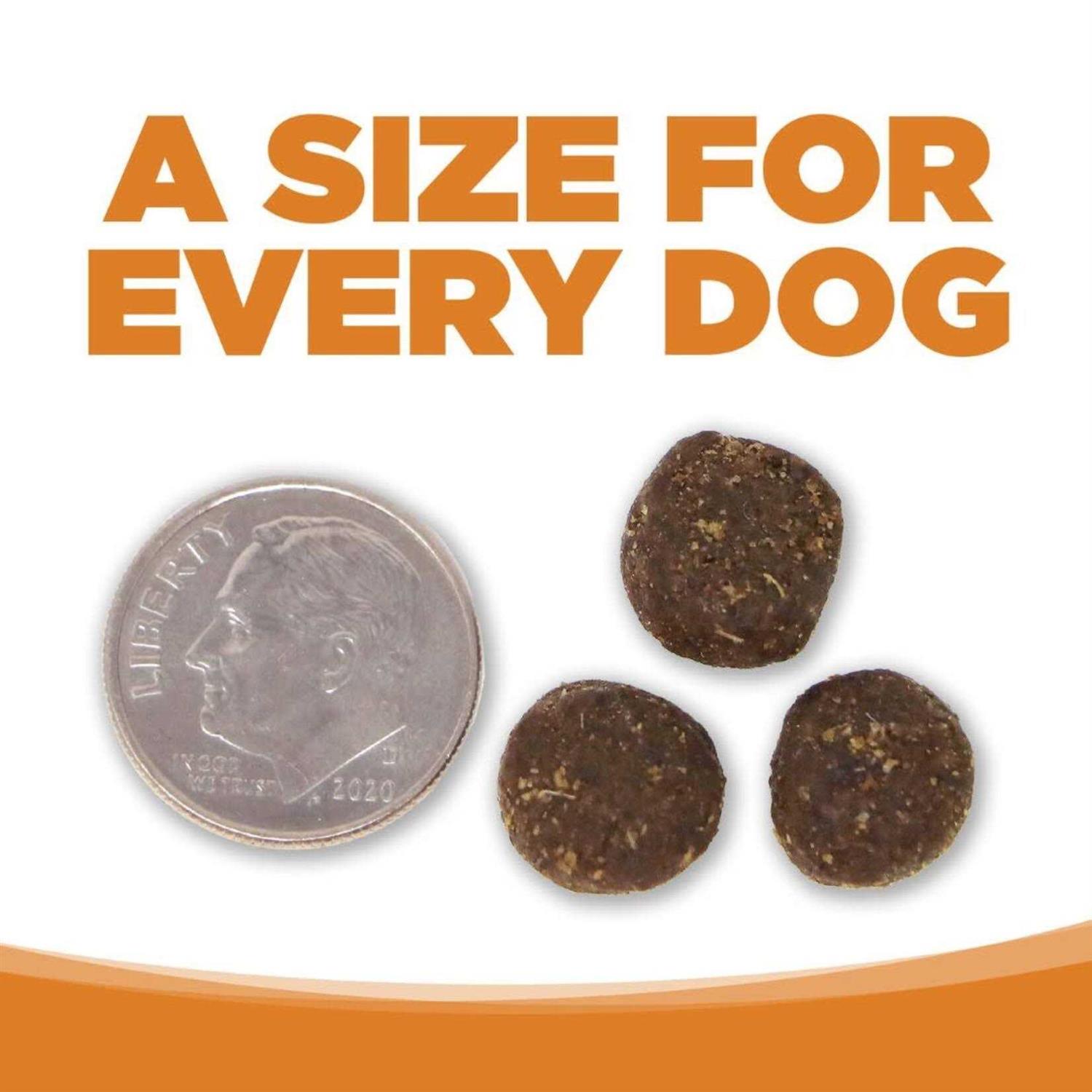 NutriSource Lamb Rice Dry Dog Food - Pet Supplies online store
