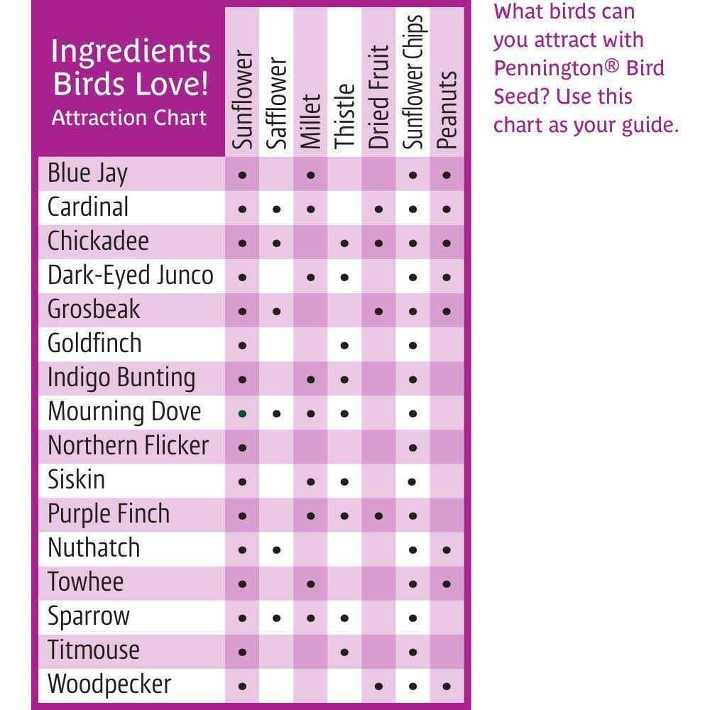 Pennington Ultra Fruit & Nut Blend Wild Bird Seed and Feed - Pet Supplies online store