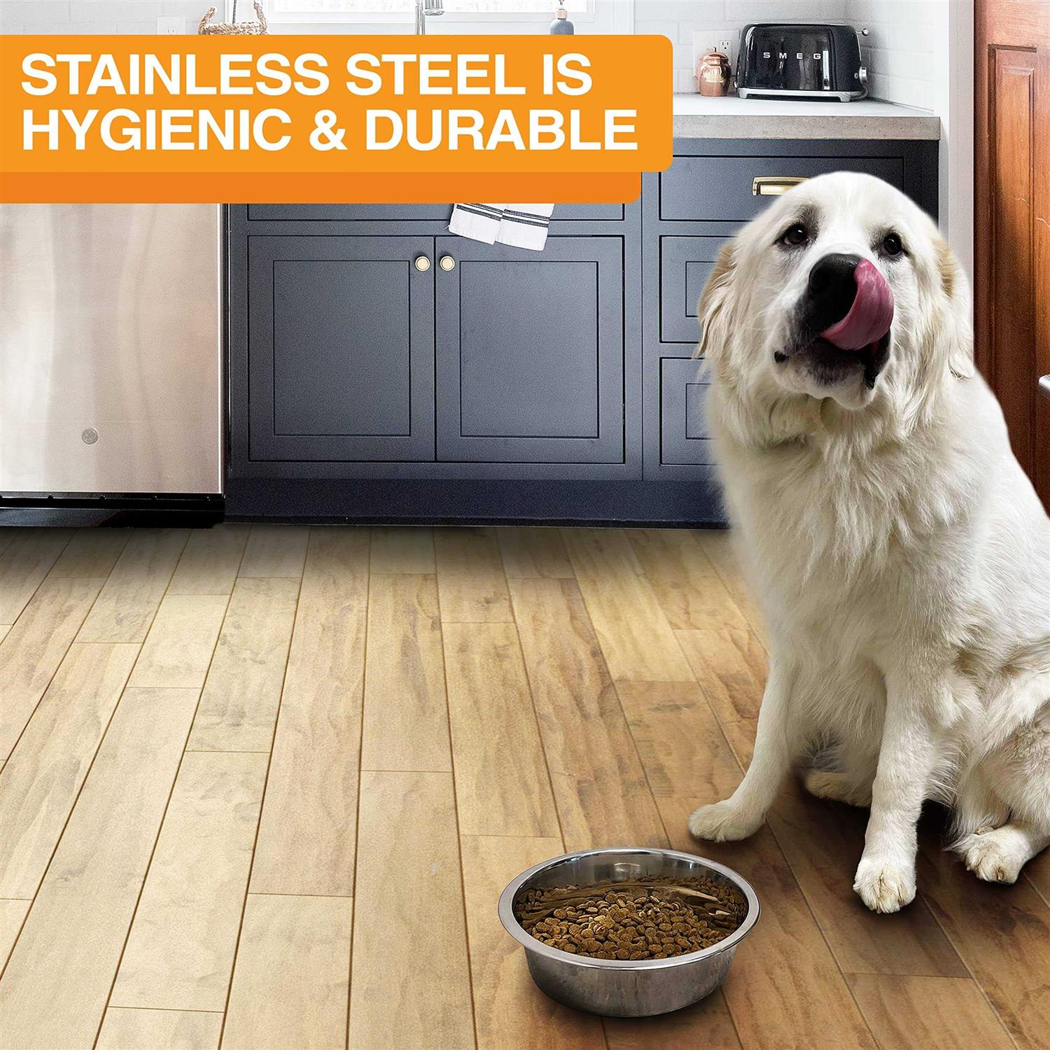 Neater Pet Brands Stainless Steel Dog and Cat Bowls Neater Feeder Deluxe Extra Replacement Bowl - Pet Supplies online store