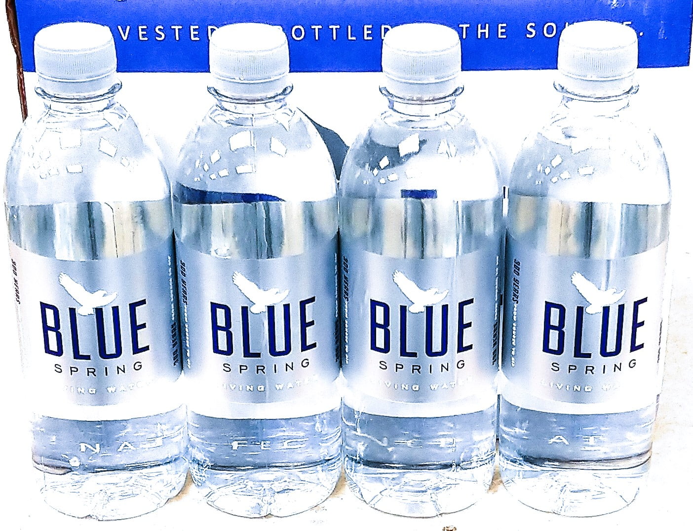 Blue Spring Living Water Natural Spring Water 16.9fl oz, 12 Pack