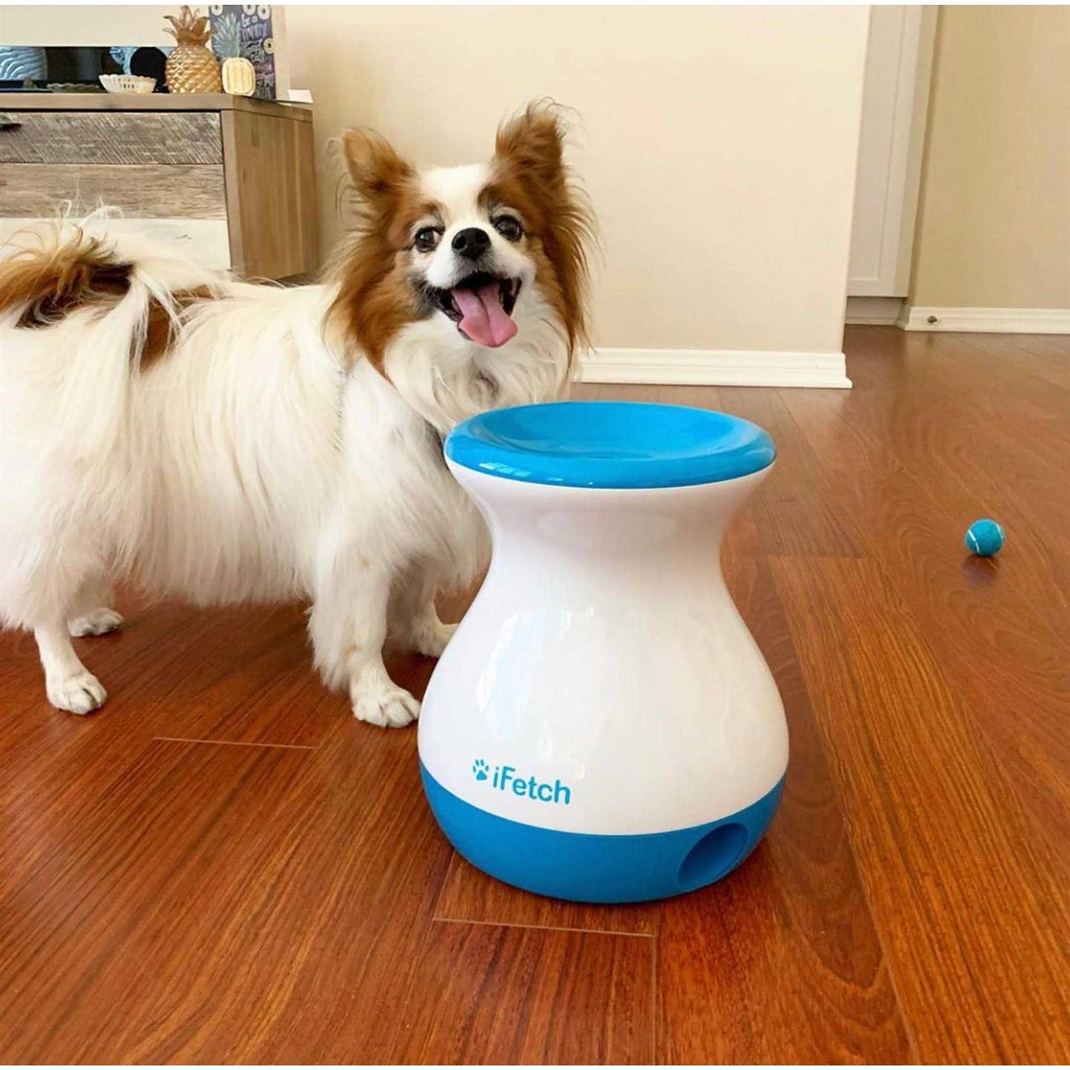 iFetch Frenzy Dog Toy - Pet Supplies online store