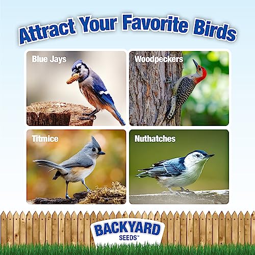 Bulk Raw Peanuts in Shell for Wild Birds and Squirrels 20 Pounds