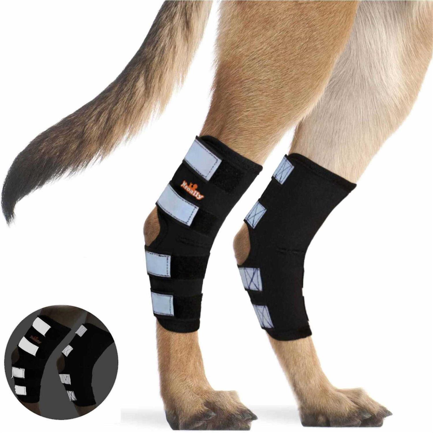 Neoally Dog Hind Leg Brace Canine Rear Leg Support with Safety Reflective Straps for Joint Injury - Pet Supplies online store