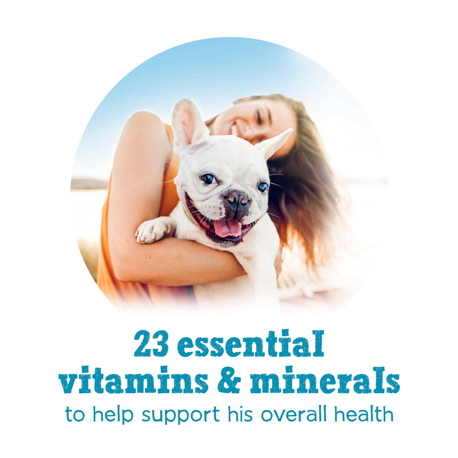 Beneful IncrediBites Chicken Beef & Salmon Variety Pack Wet Small Dog Food Cans - Pet Supplies online store