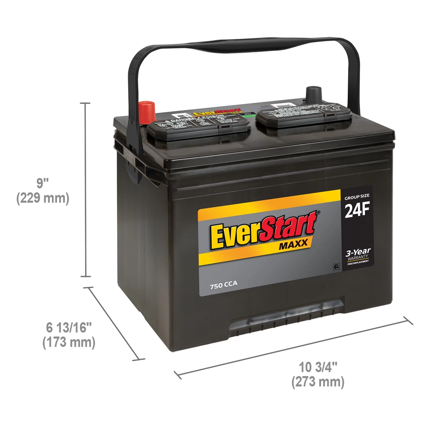 EverStart Maxx Lead Acid Automotive Battery, Group Size 24F 12 Volt, 750 CCA - Radiant Selections
