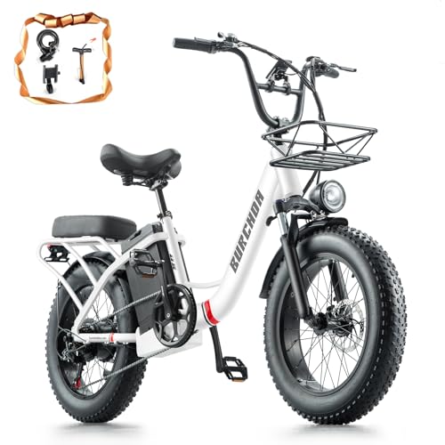 DAMSON Electric Bike for Adults 750W,48V 31.5AH Long-Range Adult Electric Bicycles, 20
