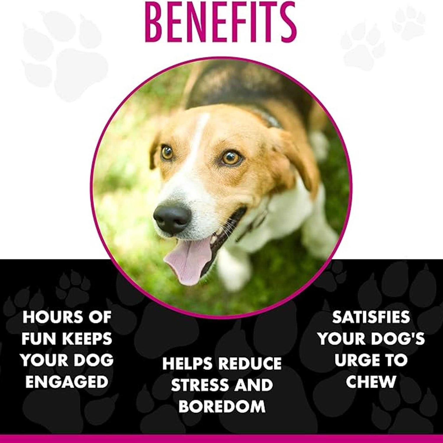 Chase 'n Chomp Amazing Squeaker Ball Pets - Pet Supplies online store