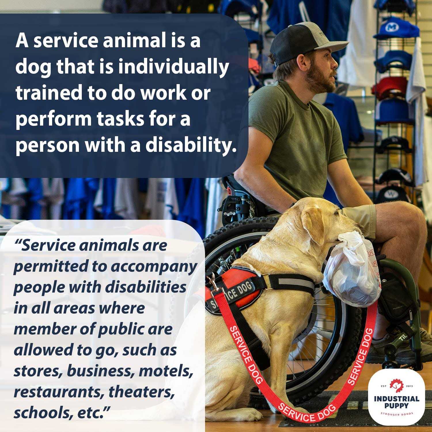 Industrial Puppy Emotional Support Dog Leash Wrap with Neoprene Handle and Reflective Emotional Support Lettering - Pet Supplies online store