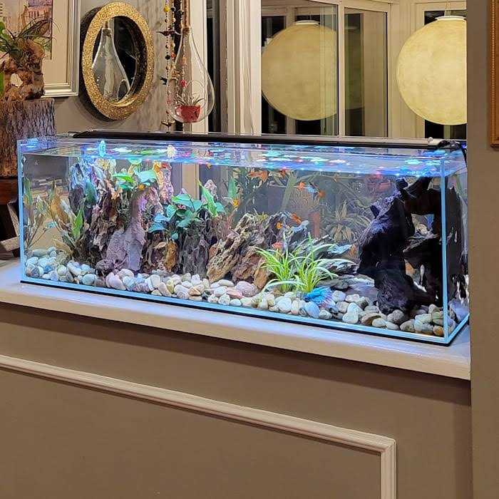 Lifegard Aquatics Crystal Bookshelf Aquarium - Pet Supplies online store