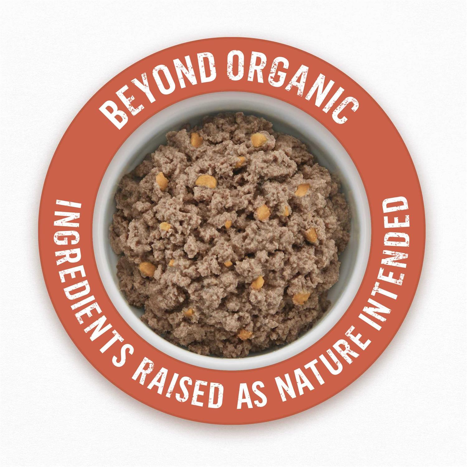 Purina Beyond Organic Chicken Recipe Wet Dog Food - Pet Supplies online store