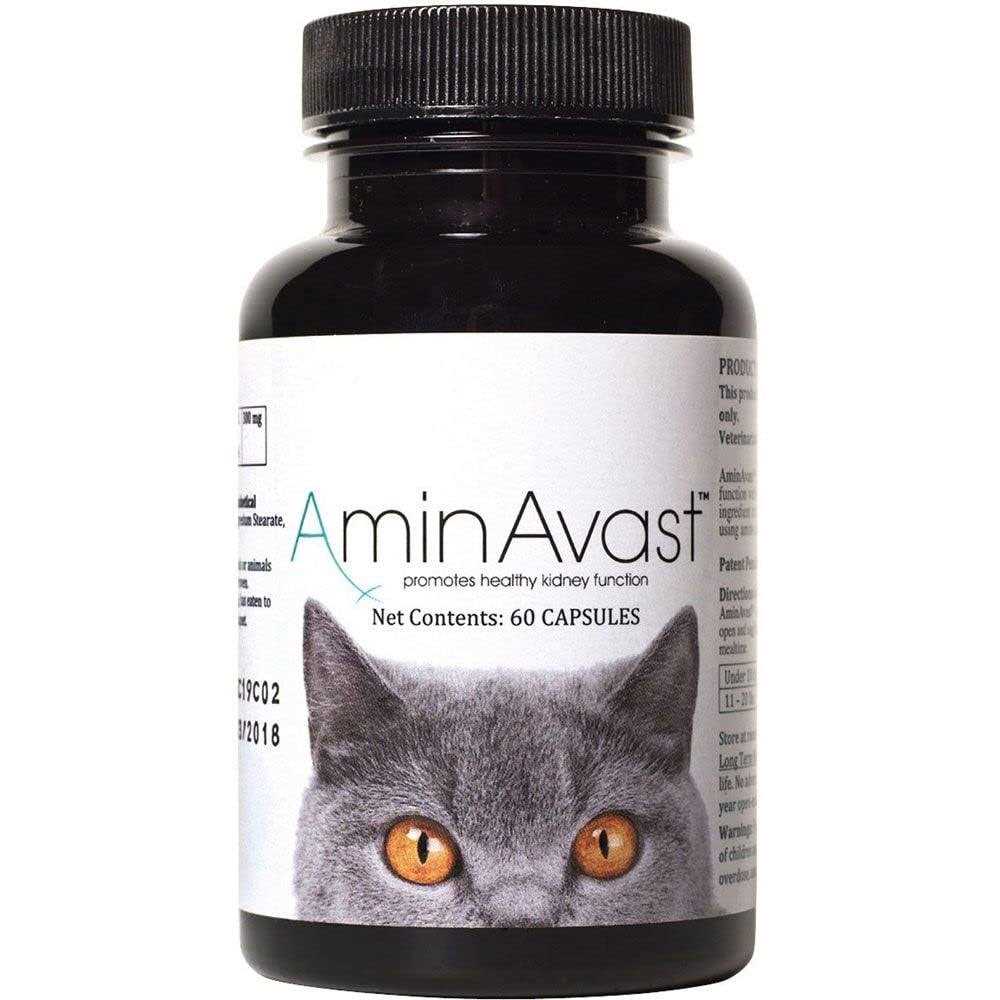 AminAvast Kidney Support for Cats - Pet Supplies online store