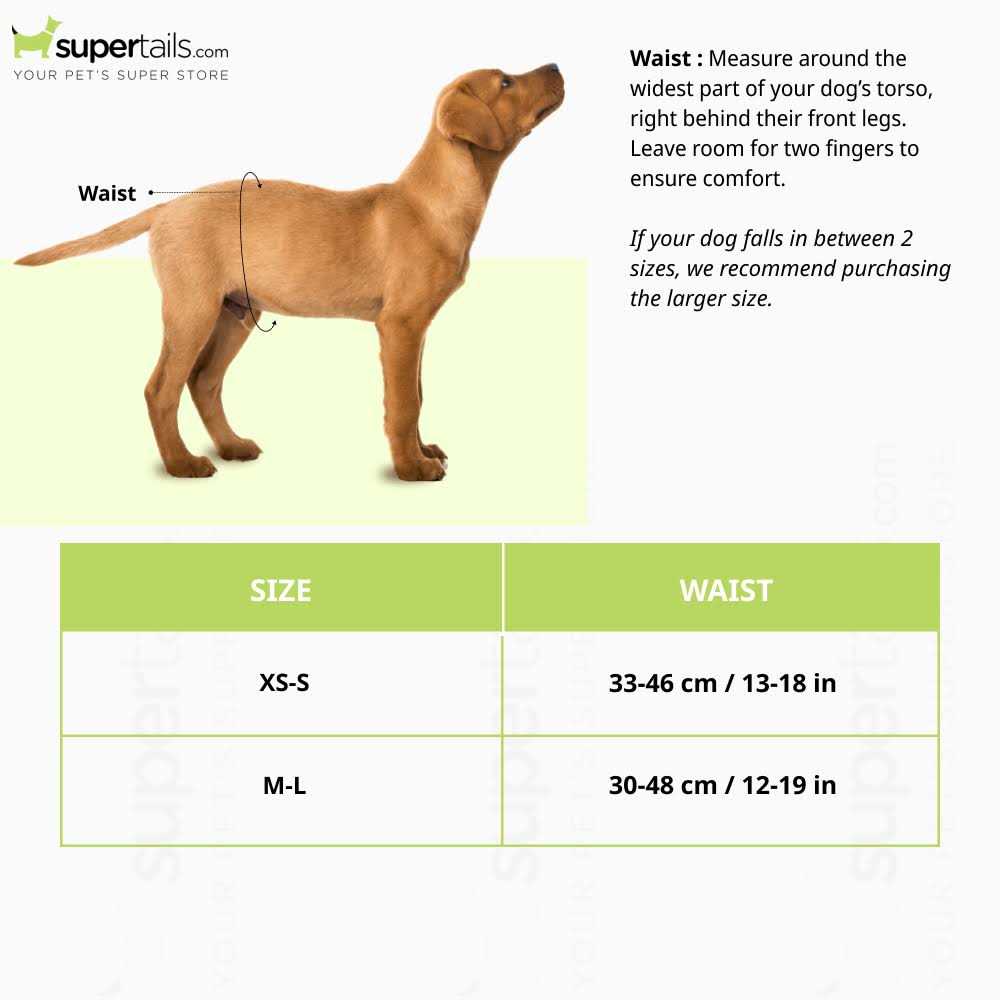 OUT! PetCare Disposable Male Dog Diapers - Pet Supplies online store