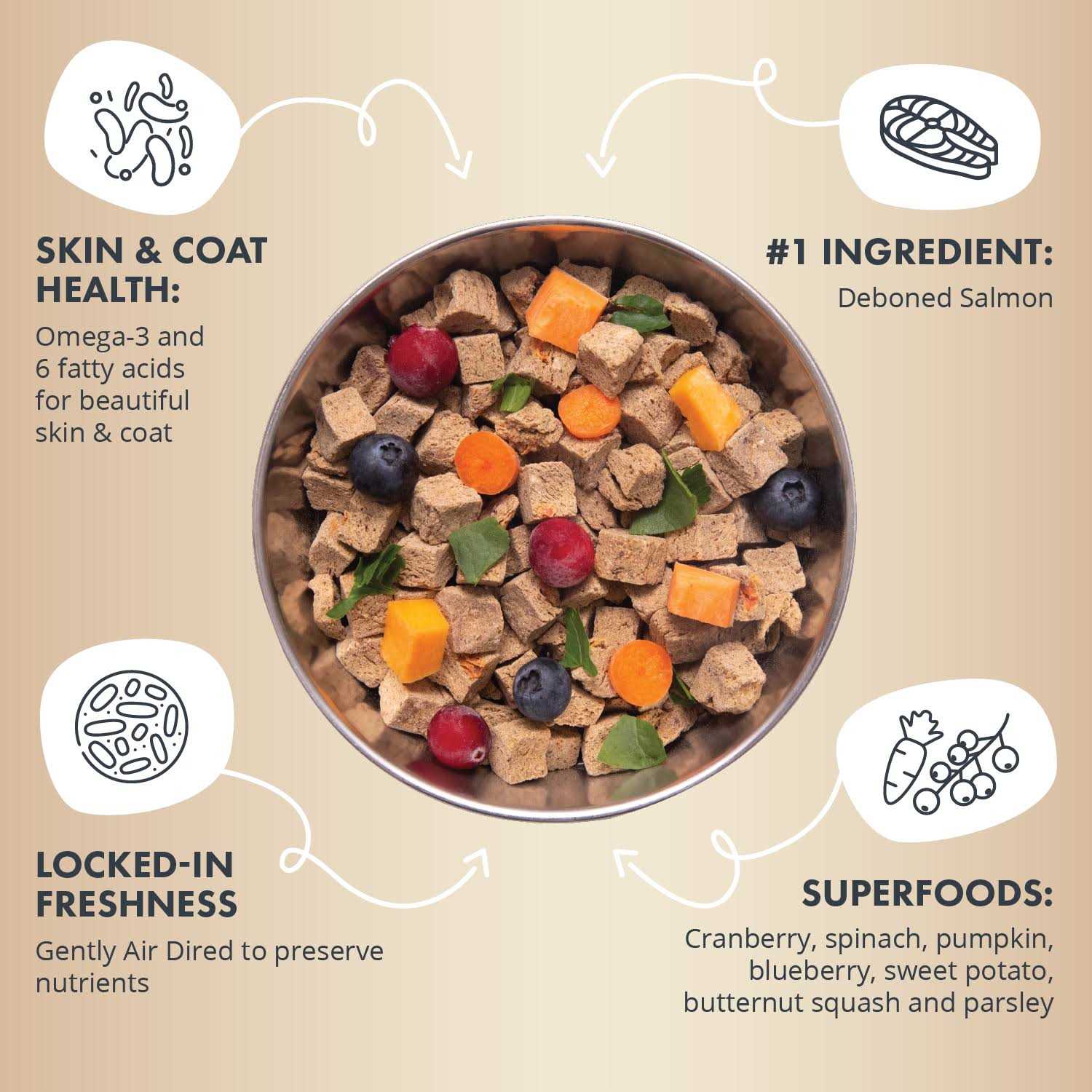 Health Extension Gently Air Dried Salmon Recipe Dog Food - Pet Supplies online store