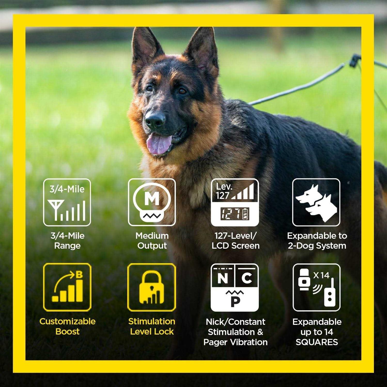 Dogtra ARC Handsfree Plus Boost & Lock - Pet Supplies online store