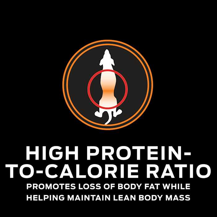 Purina Pro Plan Veterinary Diets OM Overweight Management Formula Dry Dog Food - Pet Supplies online store