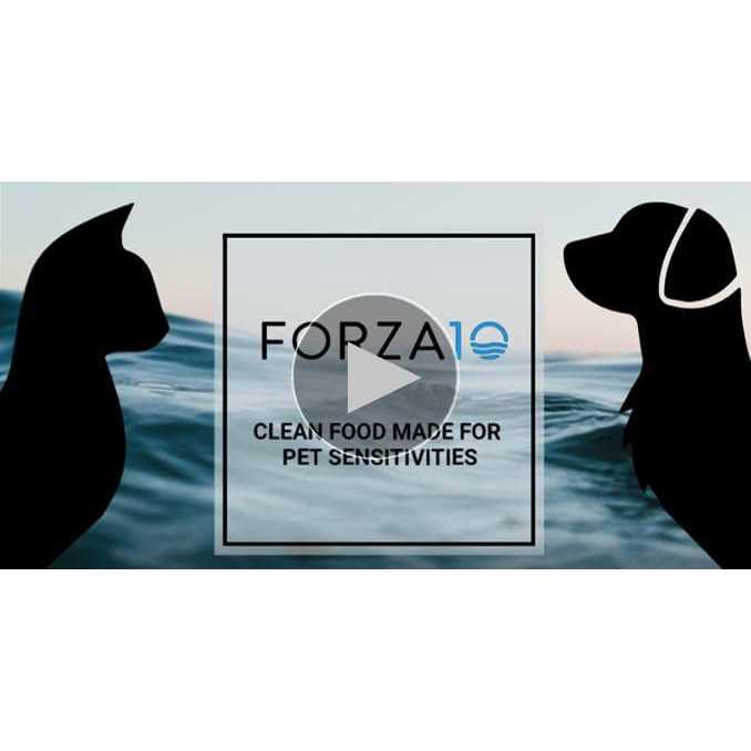Forza10 Active Urinary Dry Cat Food - Pet Supplies online store