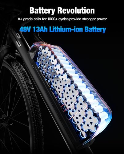 Ebike Battery 48V 20Ah for Electric Bike/Bicycle Power Supply Hailong Li-ion Battery Pack with Fix Plate, Safe Lock, 3A Charger, XT60 Connector and LED Indicator for 100-1200W Motor