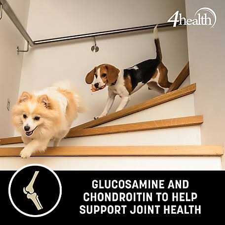 4health Wholesome Grains Adult Lamb and Rice Formula Dry Dog Food - Pet Supplies online store