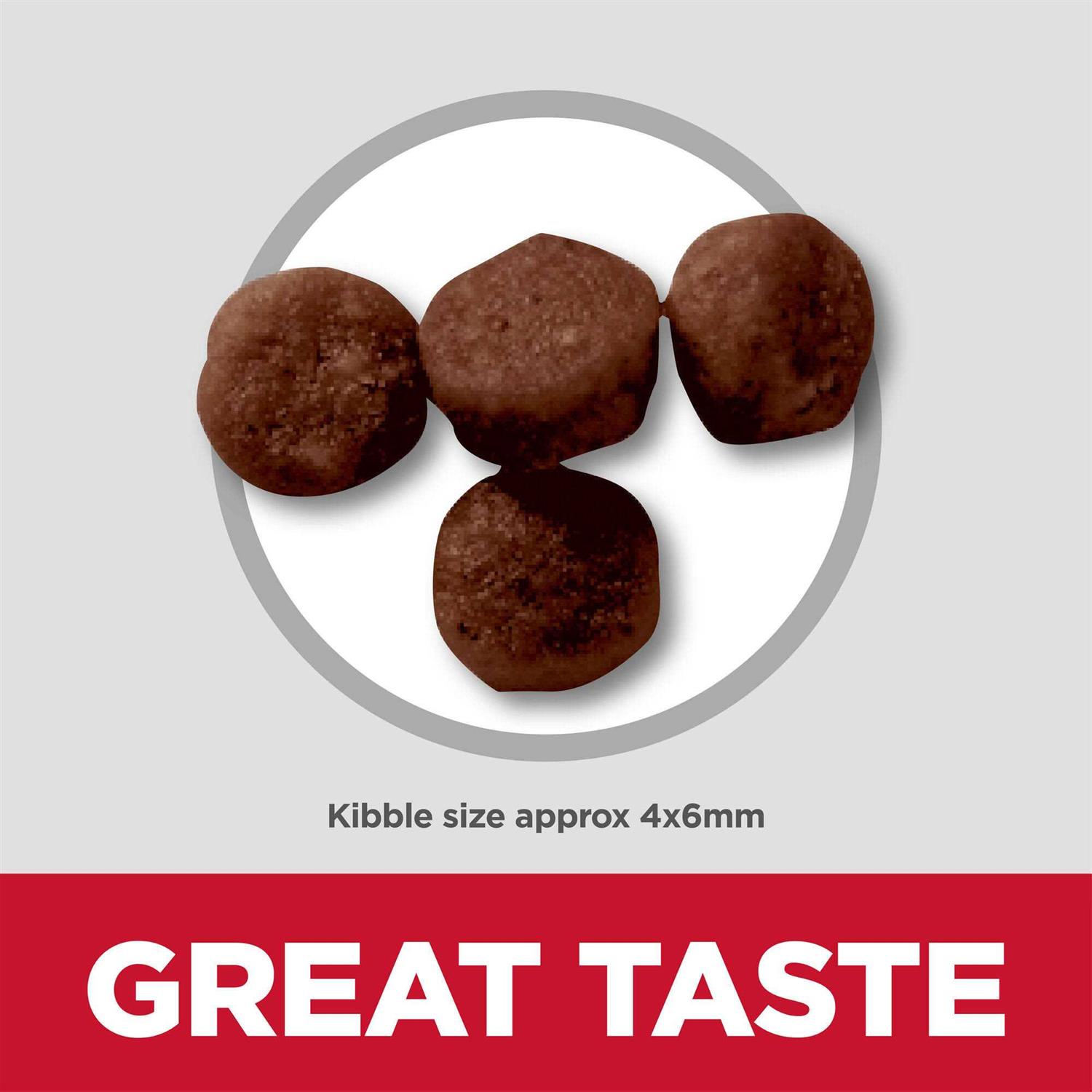 Hill's Science Diet Kitten Ocean Fish & Brown Rice Recipe Dry Cat Food - Pet Supplies online store