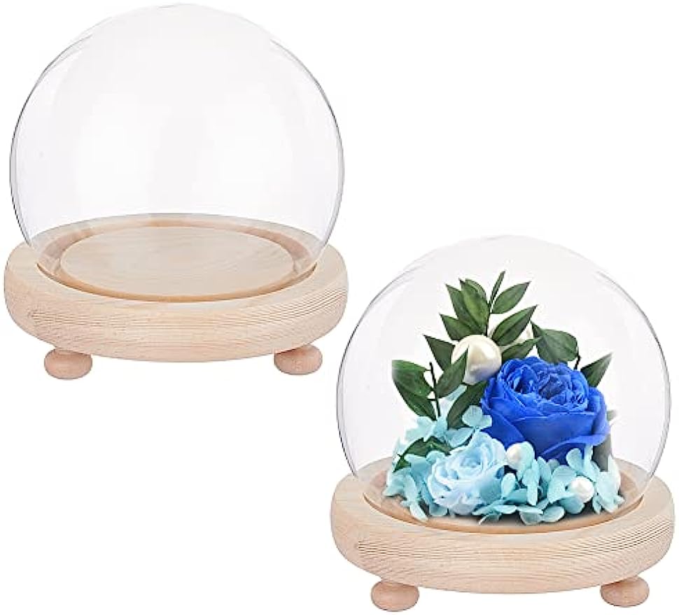 2 Sets Round Glass Display Dome Mini Glass Cloche Dome Clear Glass Display Dome Cover with Wood Base