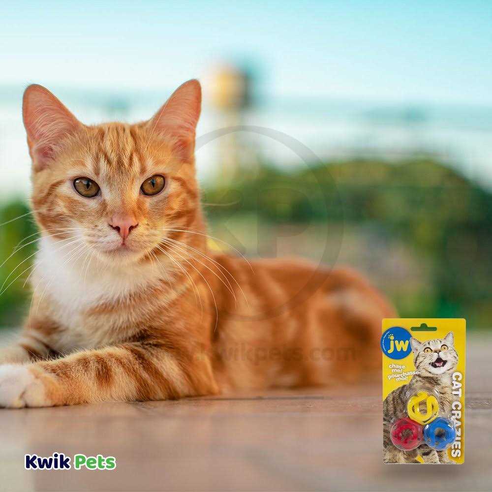 JW Pet Cat Crazies Toy - Pet Supplies online store