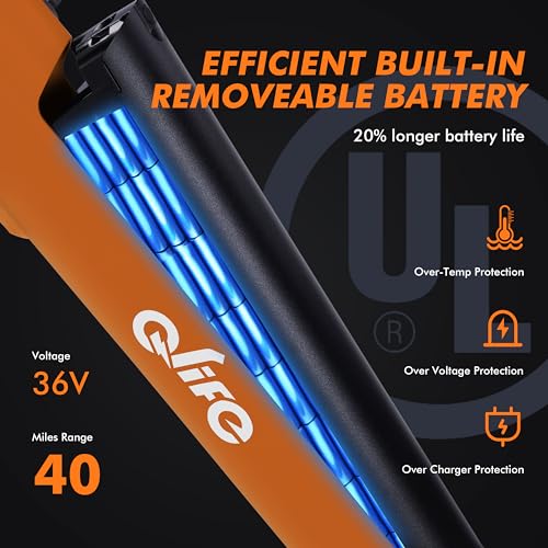 Cityone Electric Bike for Adults 26