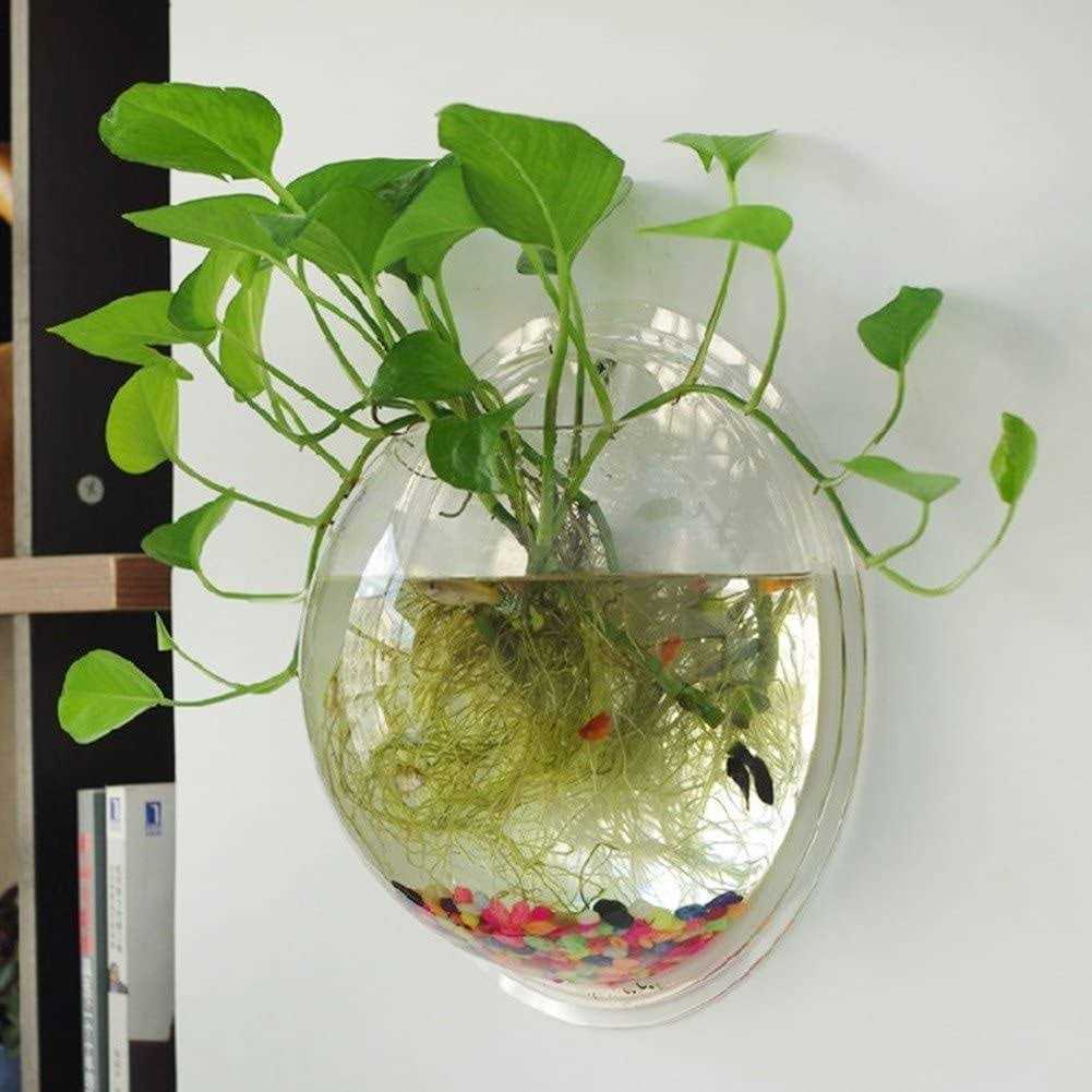 CNZ Wall Mounted Acrylic Fish Bowl - Pet Supplies online store