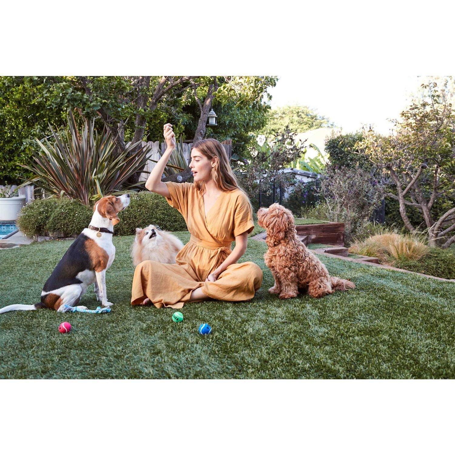 Full Moon Dog Treats Chicken Recipe - Pet Supplies online store