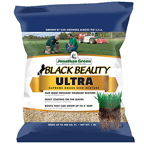 Jonathan Green (10323) Black Beauty Ultra Grass Seed - Cool Season Lawn Seed (25 lb)