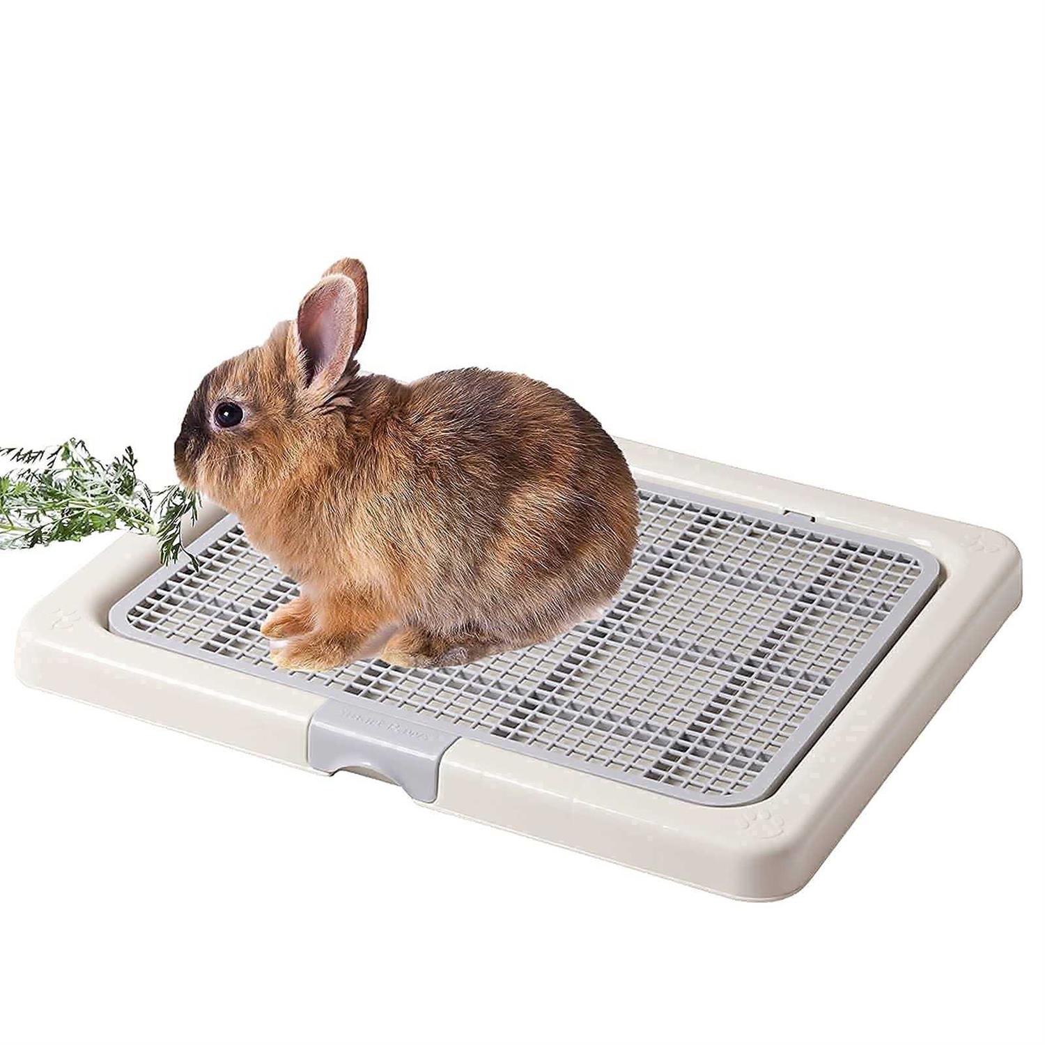 Smart Paws 3 Sizes Small Puppy Dog Toilet,Poodles Training Tray,Yorkie Pet Pads Holder - Pet Supplies online store