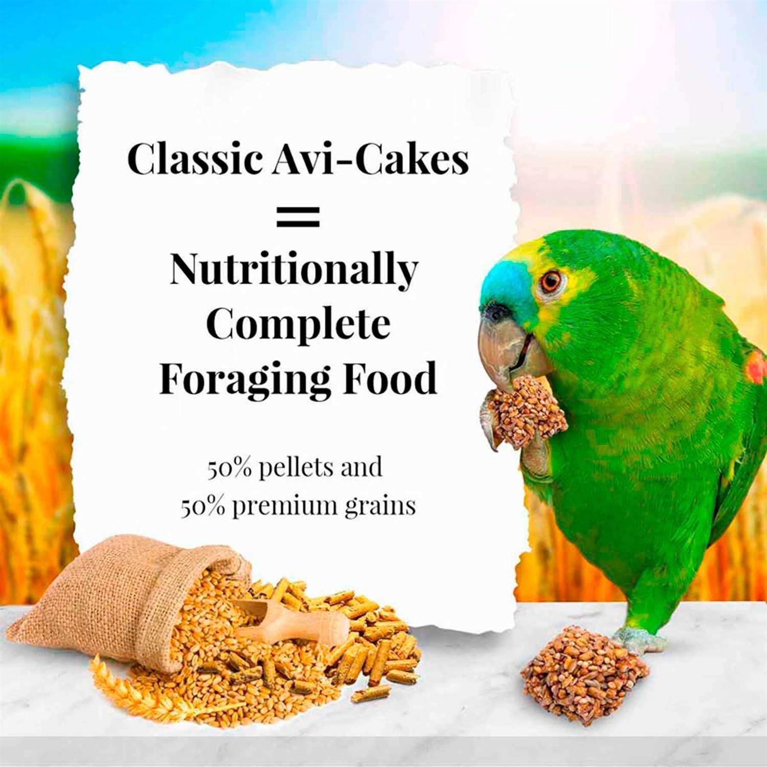 Lafeber Classic Avi-Cakes Parrot Food - Pet Supplies online store