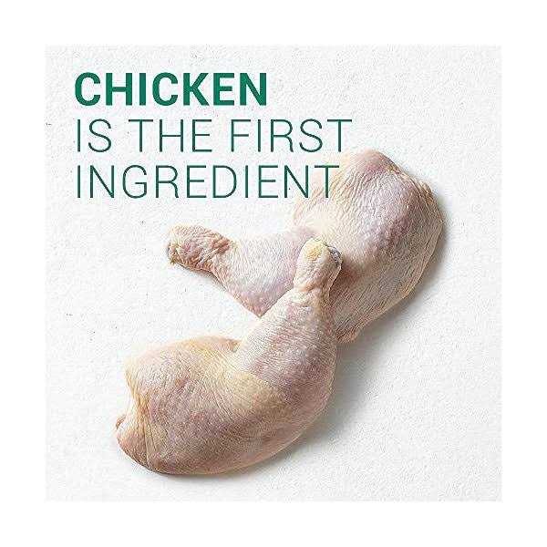 Nutro Wholesome Essentials Healthy Weight Large Breed Adult Farm Raised Chicken - Pet Supplies online store