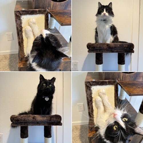 YITAHOME Modern Cat Tree with Litter Box Enclosure, Combo Endtable and Large Cat Tower with Basket, 4-in-1 Litter Box Furniture Hidden and Scratching Post for Large Cats