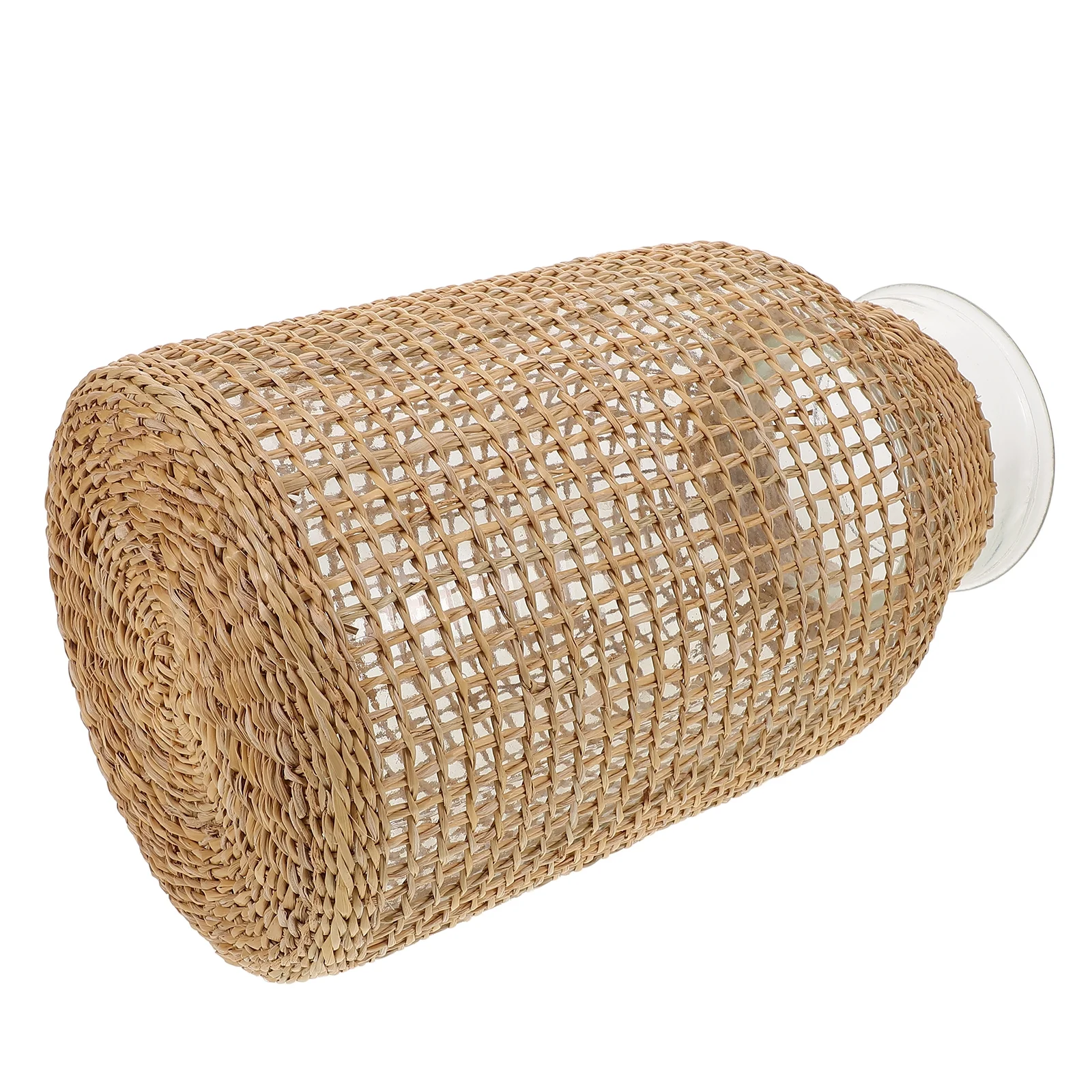 Woven Rattan Vase Glass Vase Flower Pot Vase Table Centerpiece Glass Planter