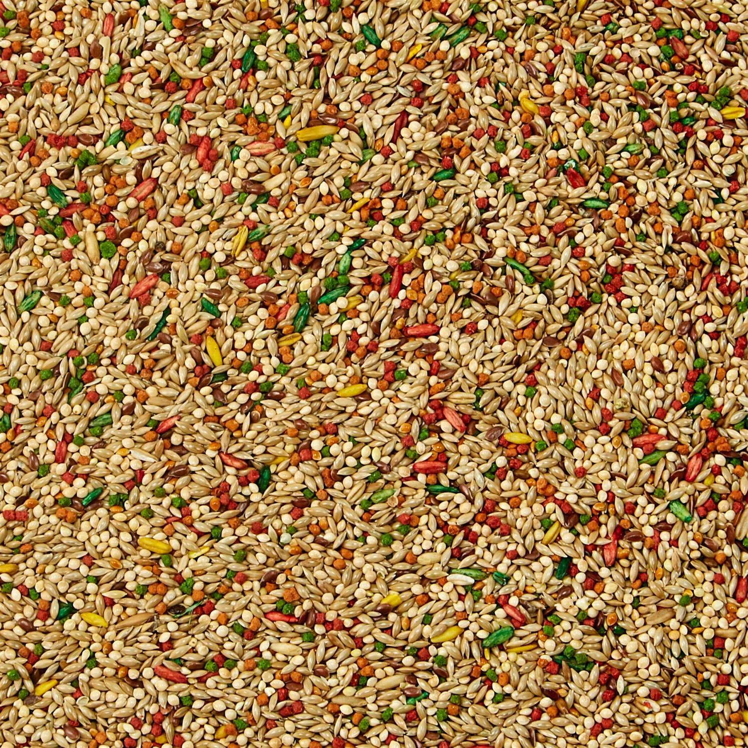 Kaytee Forti Diet Pro Health Parakeet Food - Pet Supplies online store