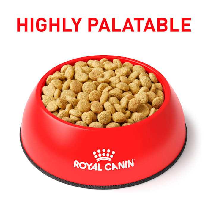 Royal Canin Veterinary Satiety Weight Management - Pet Supplies online store