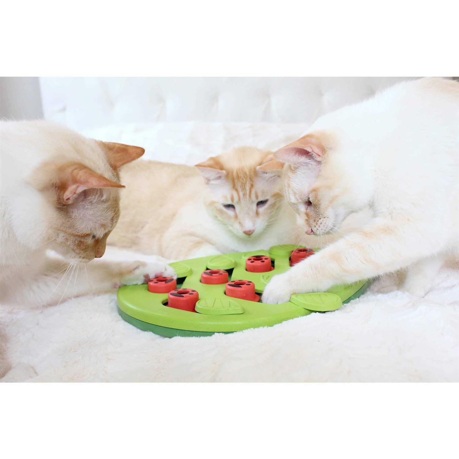 Petstages Buggin Out Puzzle Play Cat Toy - Pet Supplies online store