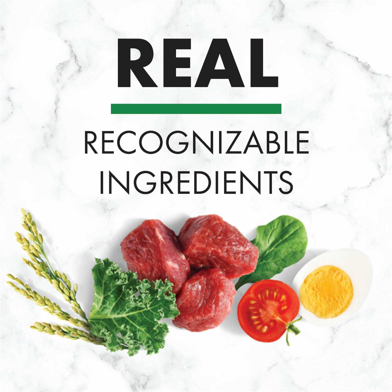 Nutro Natural Choice Adult Lamb & Brown Rice Recipe Dry Dog Food - Pet Supplies online store