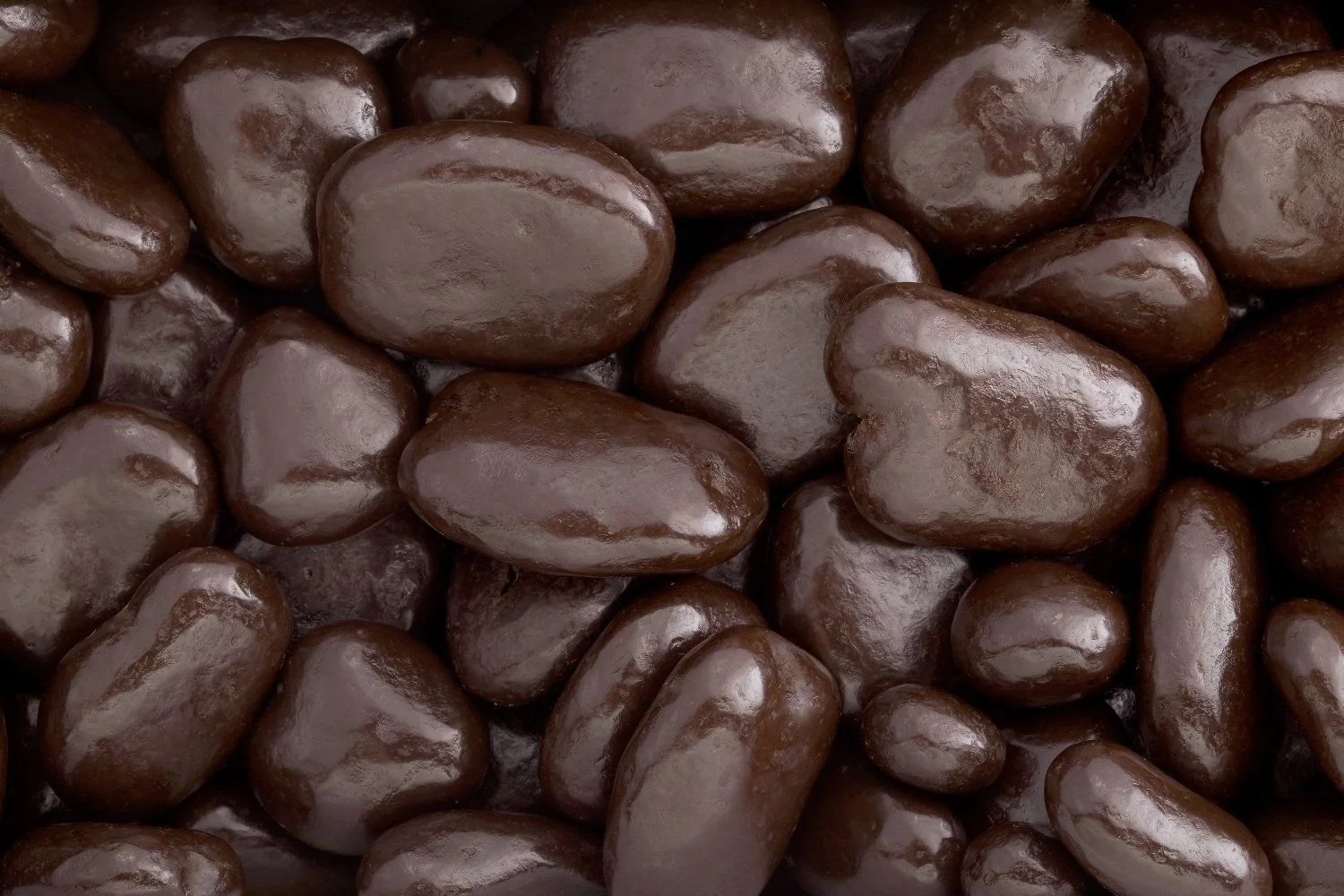 Dark Chocolate Covered Pecans (1 LB)