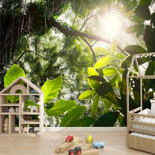 3D Wallpaper Sunshine Travelling Forest Nature Kirkland Self Adhesive Bedroom Living Room Dormitory Decor Wall Mural Stick and Peel Background Wall Ceiling Wardrobe Sticker