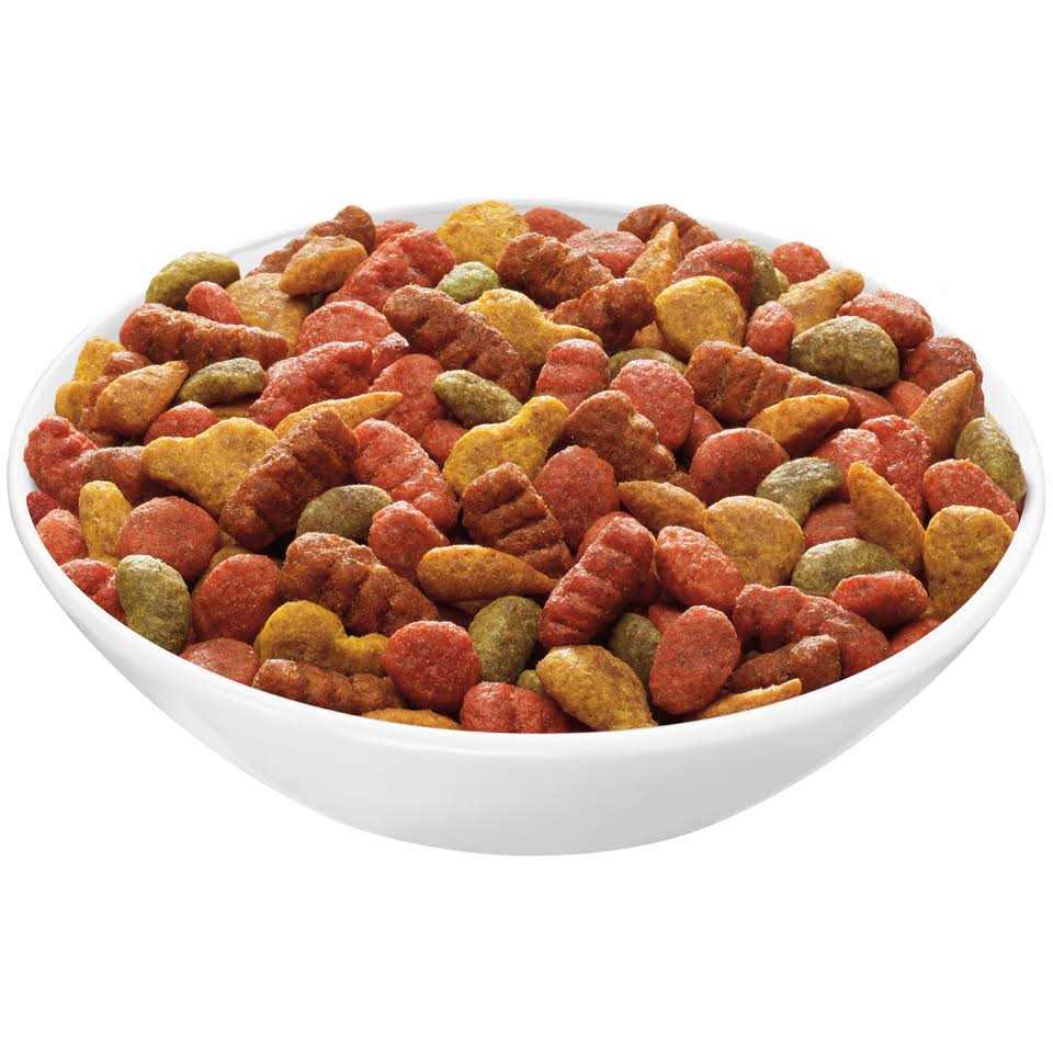 Purina Friskies Tender Crunchy Combo Dry Cat Food - Pet Supplies online store