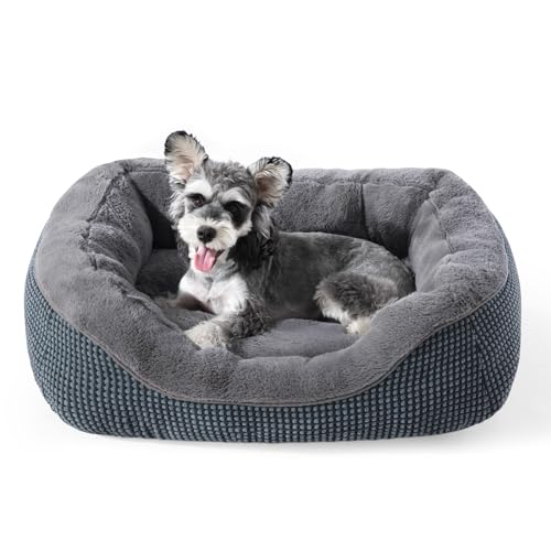INVENHO Small Dog Bed for Small Dogs, Cat Beds for Indoor Cats Washable, Orthopedic Dog Bed, Warming Soft Calming Sleeping Puppy Bed Durable Pet Bed with Anti-Slip Bottom S(20