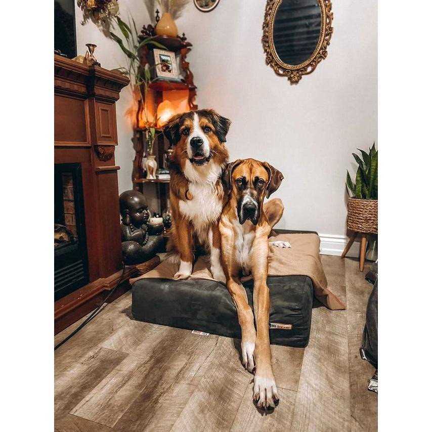 Big Barker Headrest Pillow Top Orthopedic Dog Bed - Pet Supplies online store